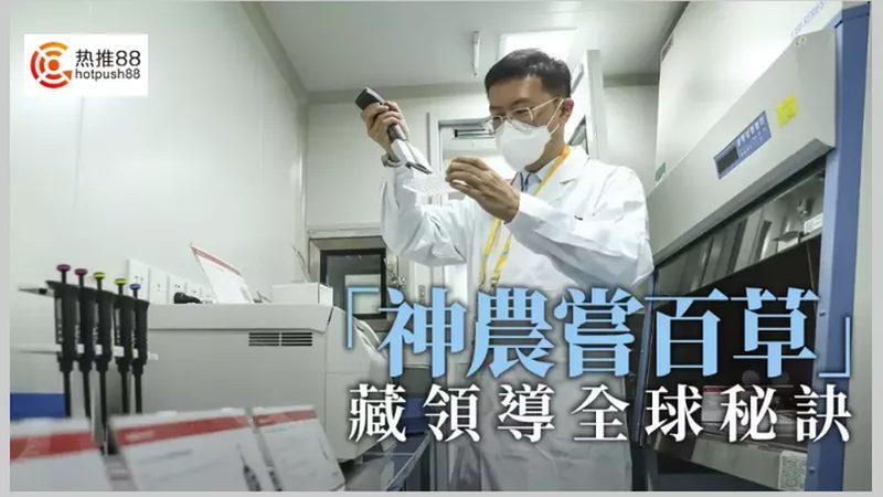 犬瘟细小抗体检测试剂盒：如何准确选择与评估**