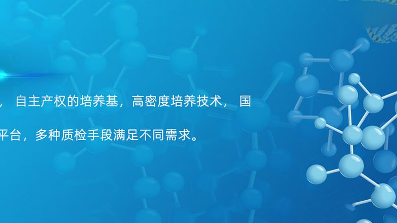 生物科技研发流程：揭秘报价背后的关键要素**