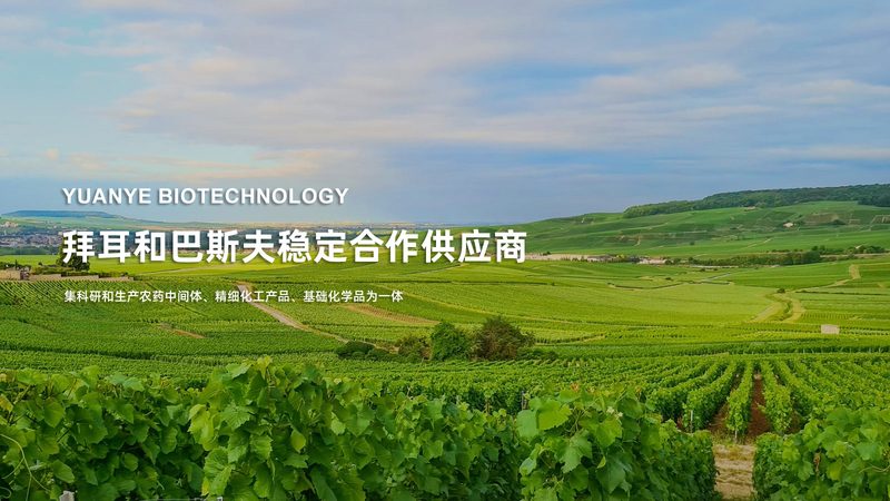 进口生物试剂：规格型号分类解析**