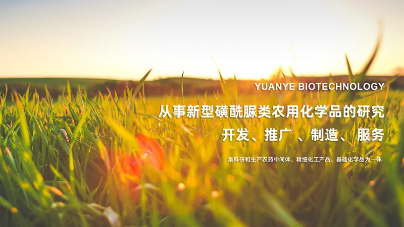 CDMO企业排名：揭秘行业实力与选择标准