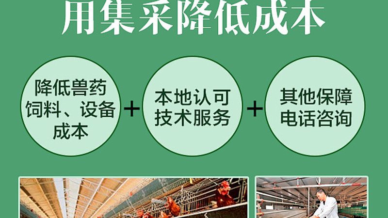 食品酶制剂与化学添加剂：两者的本质区别与选择要点