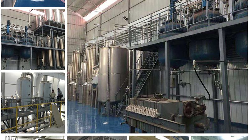 基因检测与基因编辑：双刃剑下的精准医疗之路