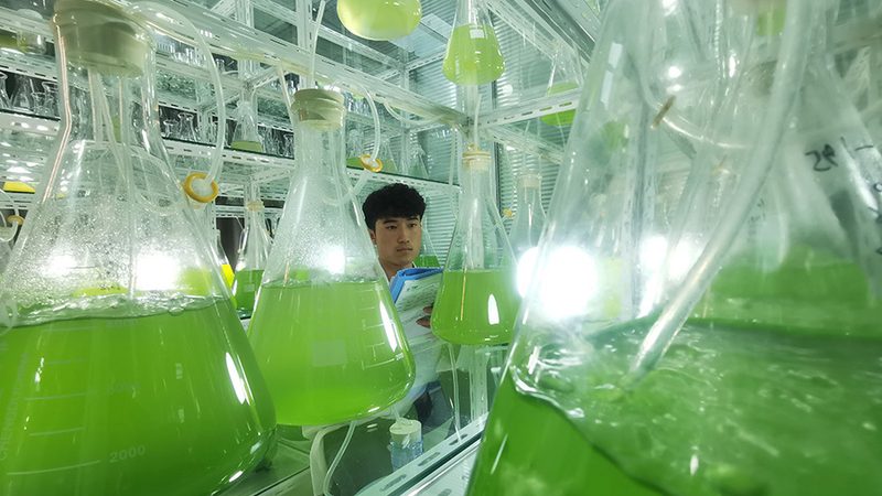 单抗定制：性价比高的关键考量因素**